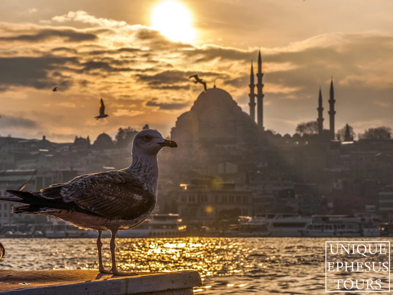 Istanbul-Sunset-Seagull-Bosphorus-Turkey