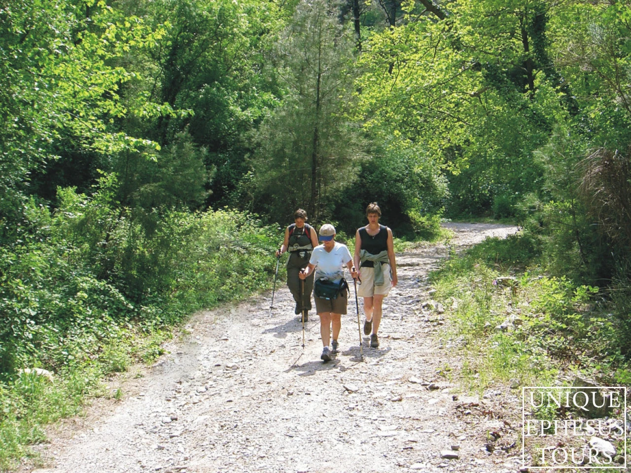 hikers-on-forest-trail-turkey