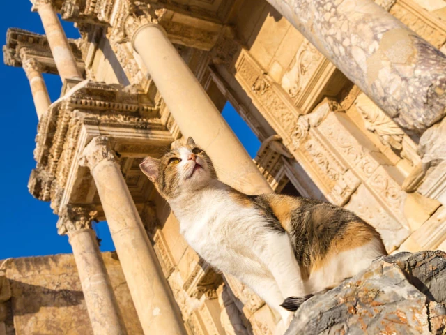 Ephesus_Celsus_Library_Façade-cat