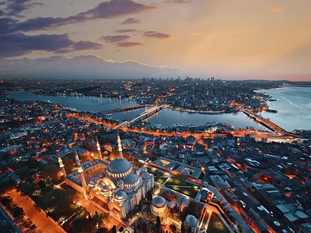 Istanbul-Sunset-Seagull-Bosphorus-Turkey